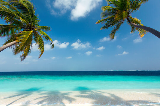 Beach Packages