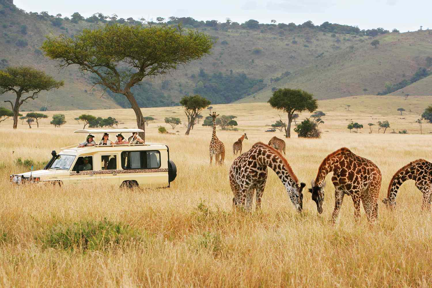 Safari Packages