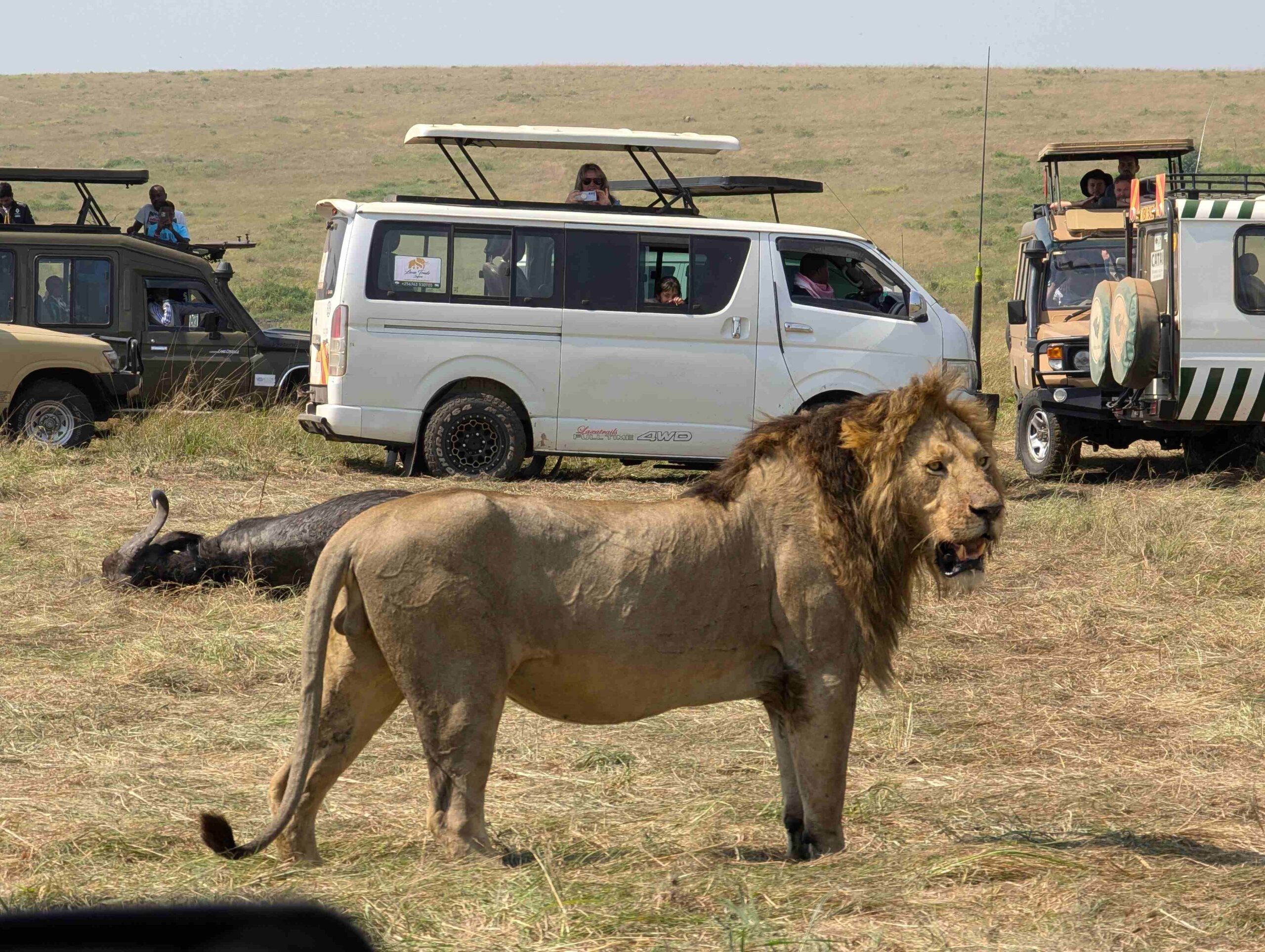 Maasai Mara gallery image 2