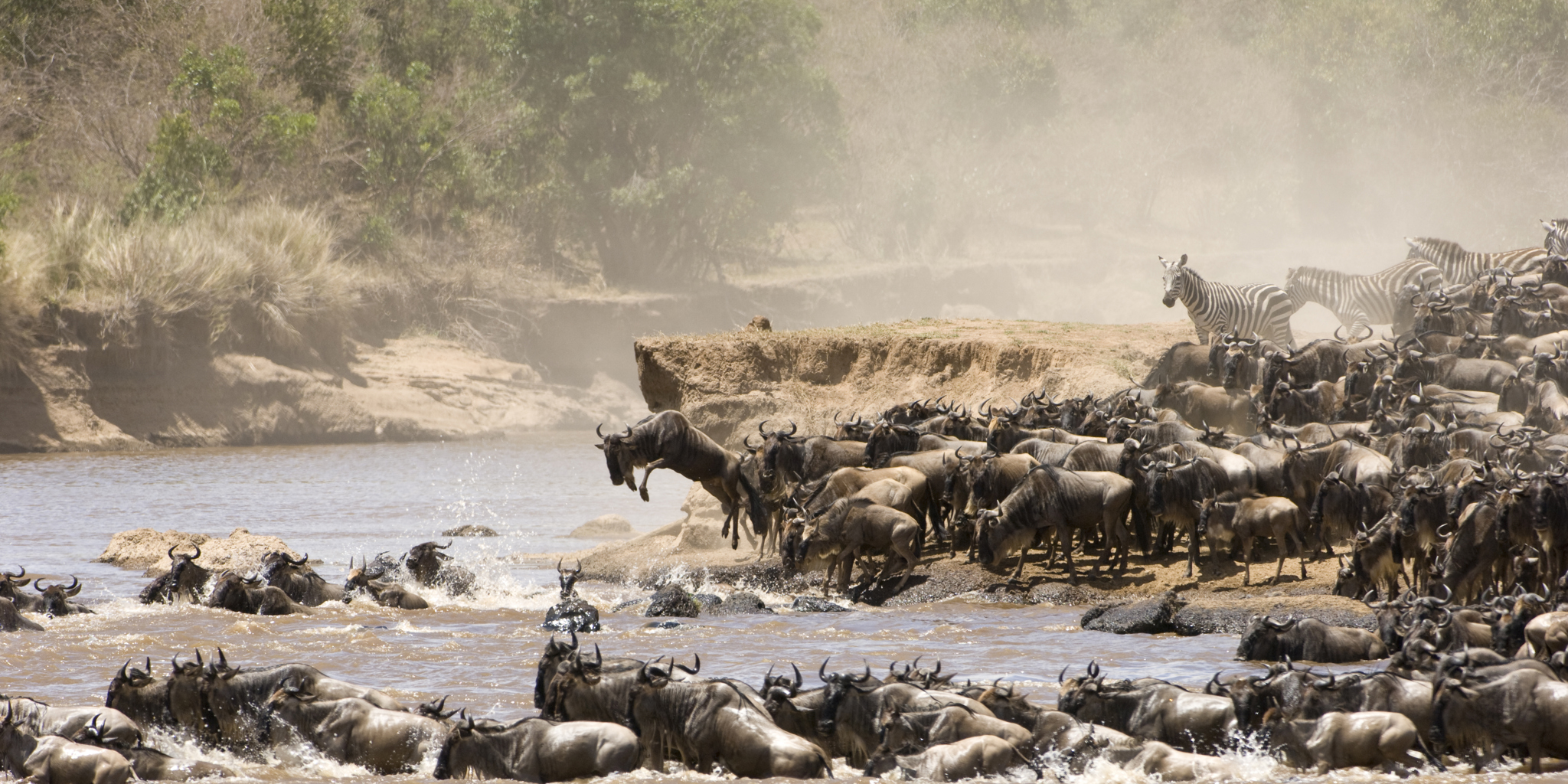 Maasai Mara gallery image 3