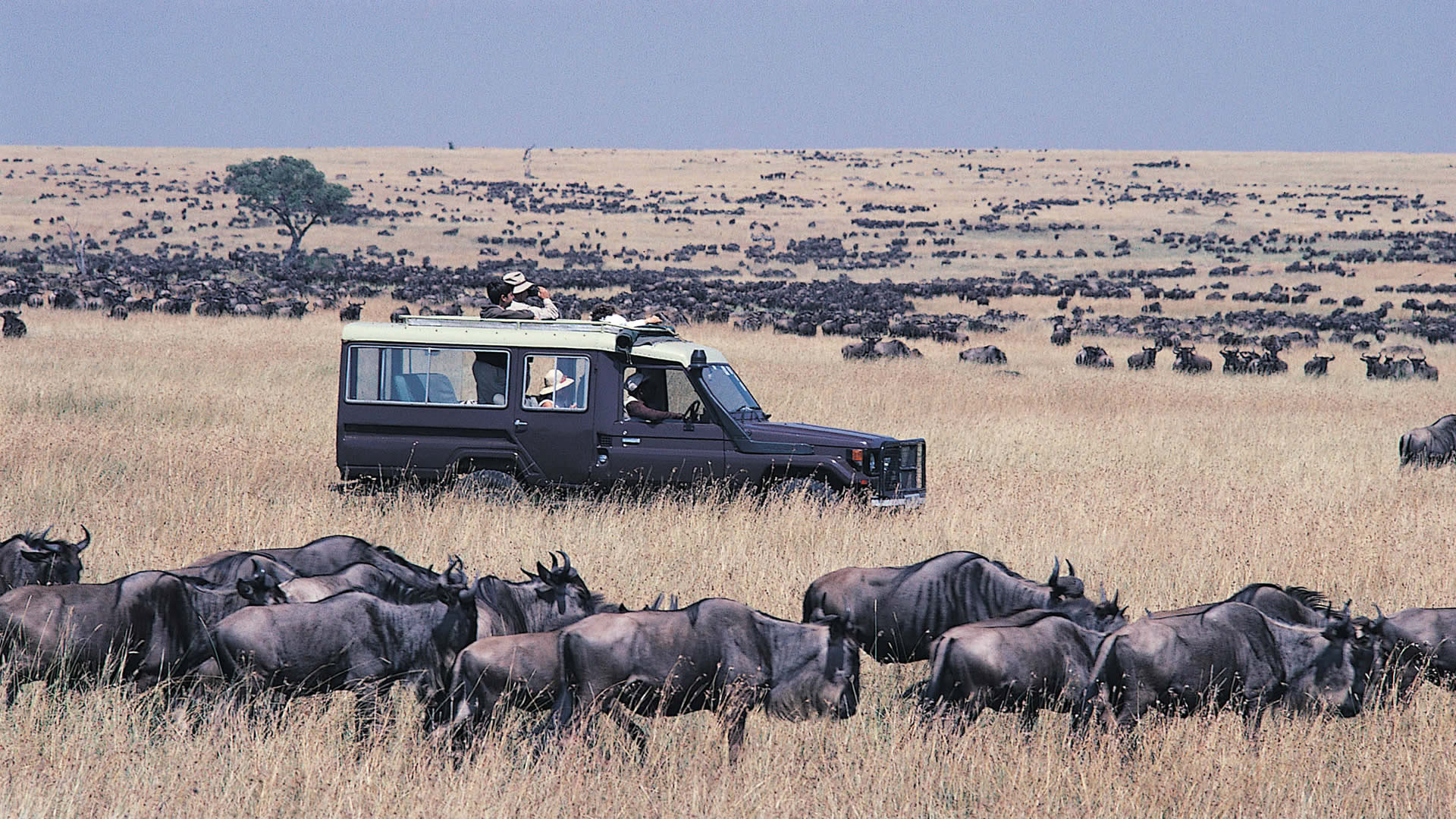 Maasai Mara