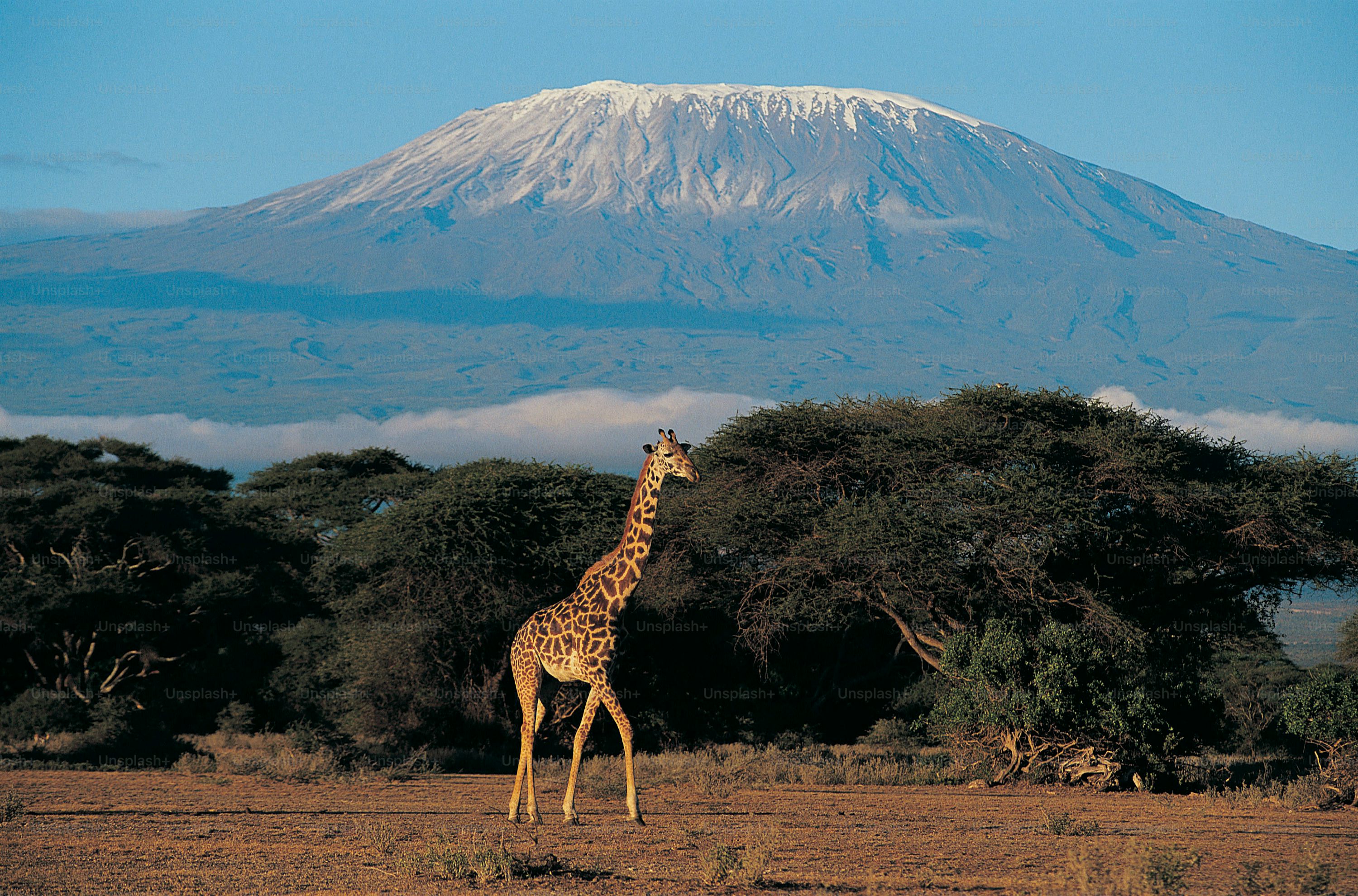Mount Kenya